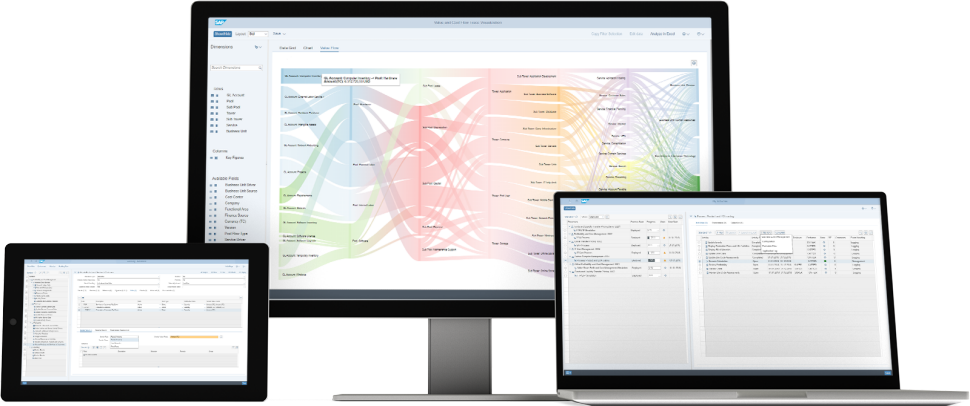 SAP Profitability and Performance Management 